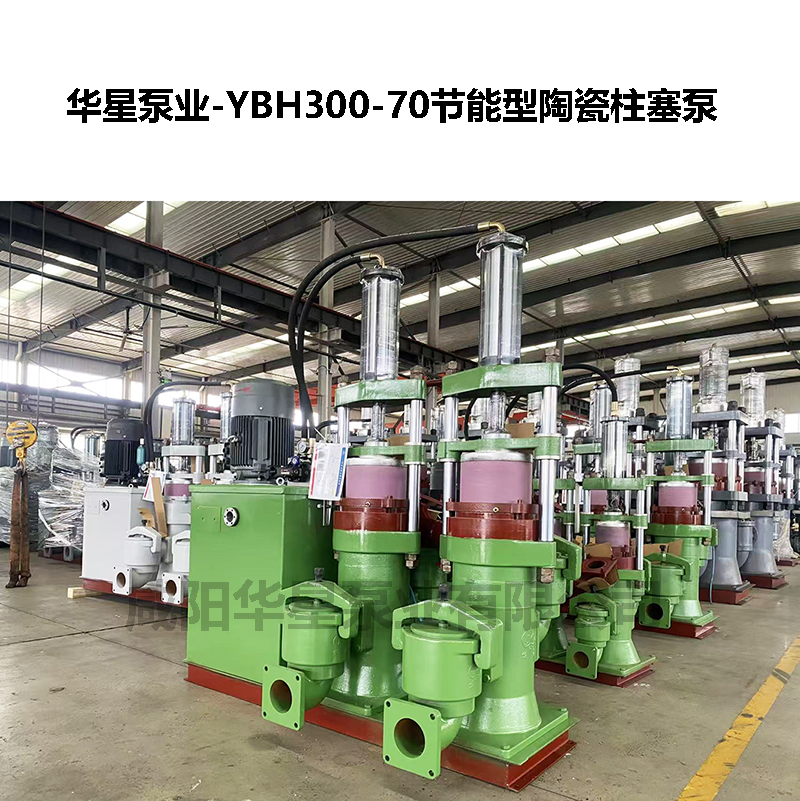 污泥輸送柱塞泵